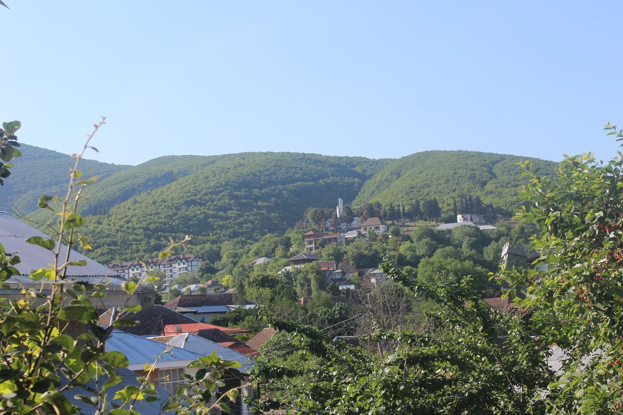 Canal Hostel Şǝki Exteriér fotografie